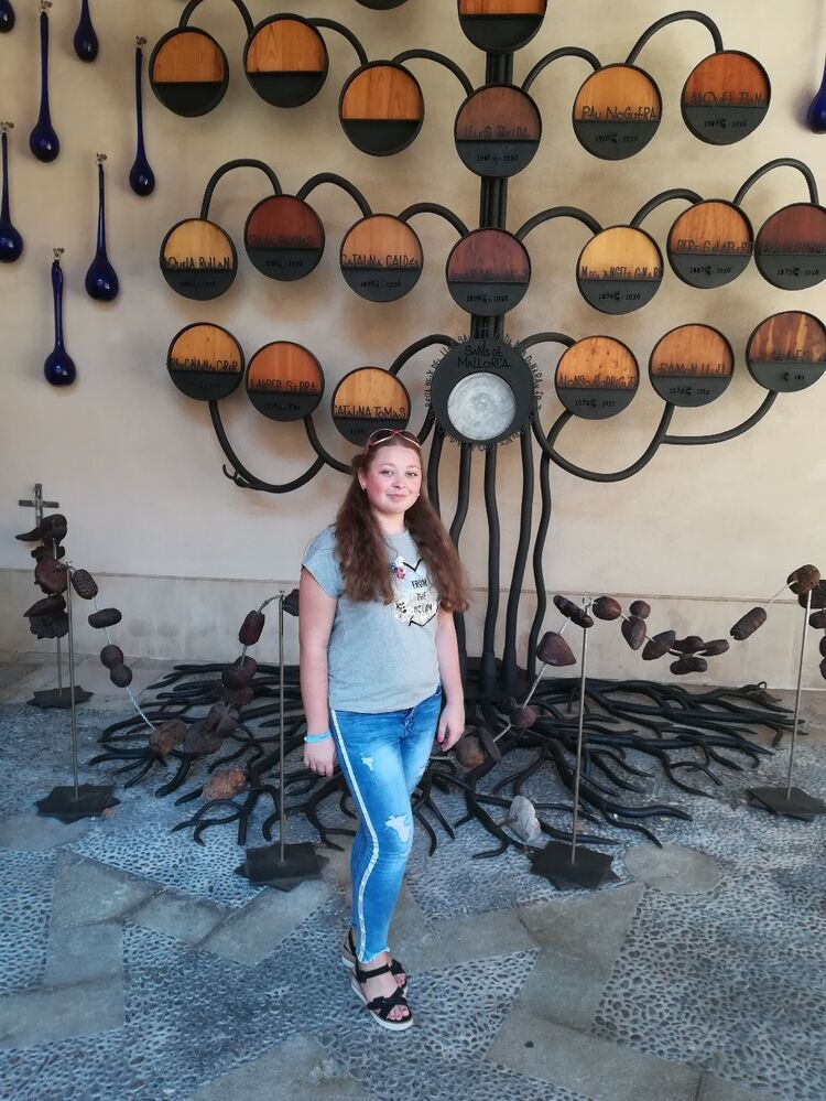  ,   , 29 ,   c 
