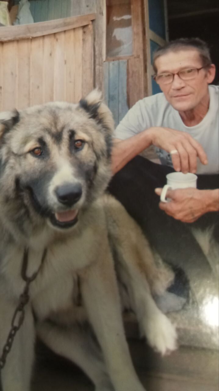   ,   , 65 ,   ,   