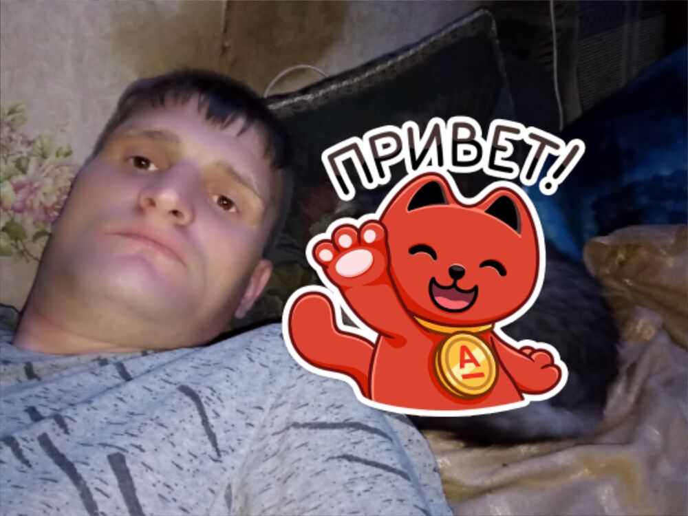  46254469  , 37 ,    