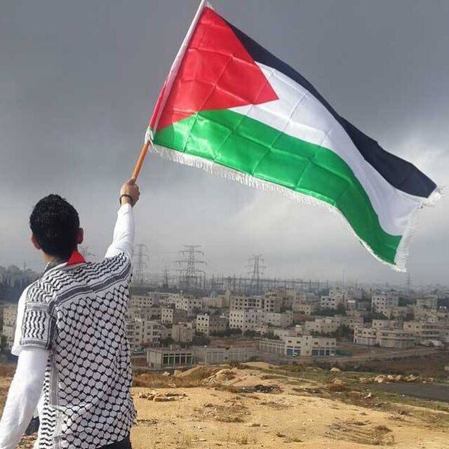 ���� 41769869 ����� ��� ������, 24 ����, ���� ���������� � ��������