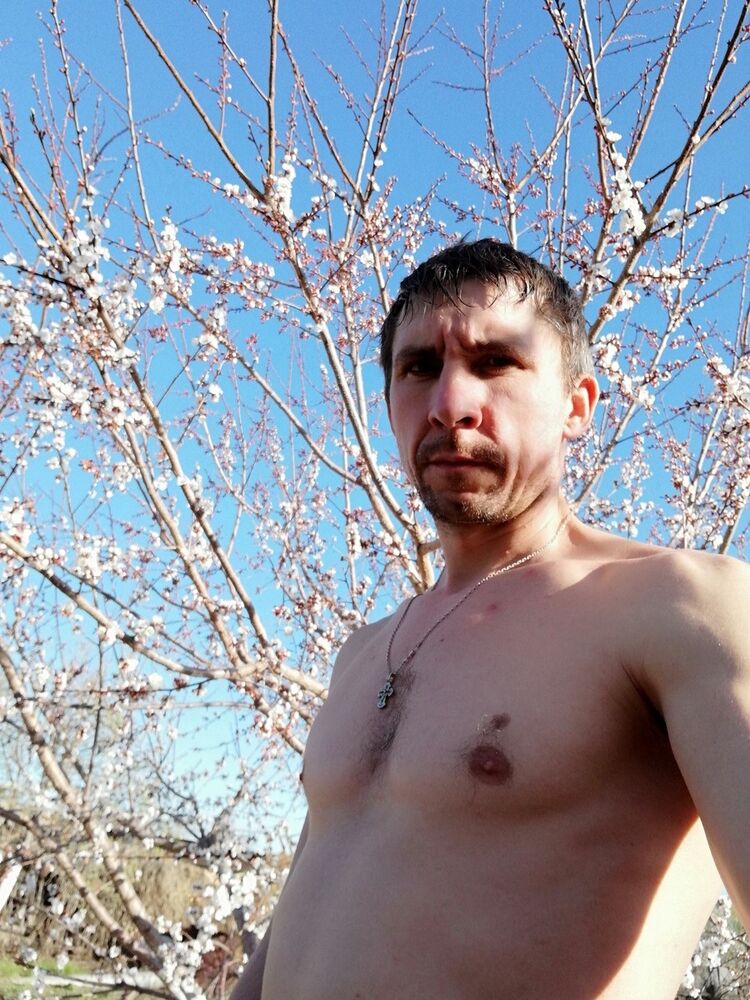 ���� 15069379 ������� ��������, 40 ���, ���� ���������� � ���������