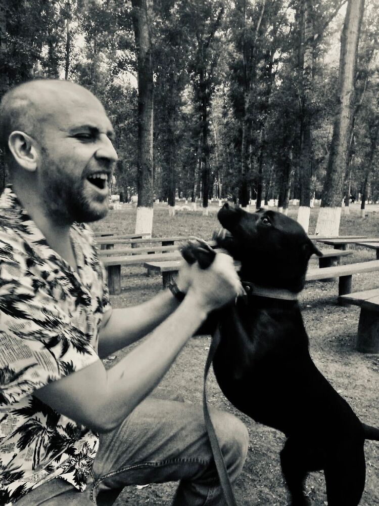 ���������� �����, ���� ������� ����, 33 ����, ������������ ��� ������, ����� � ���������