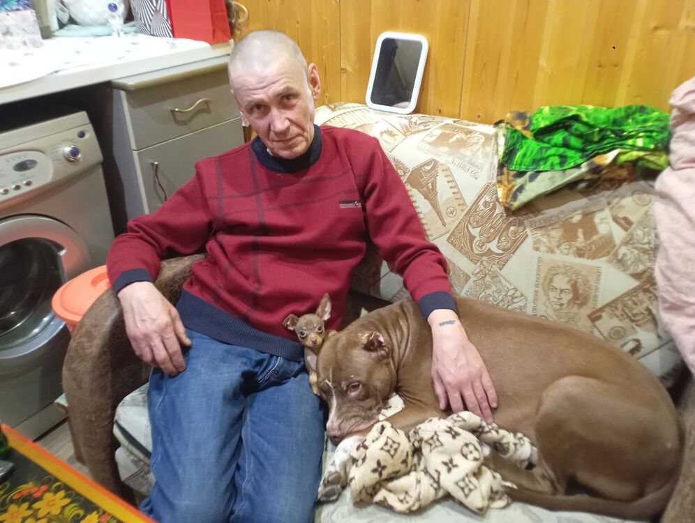 ���� 55359519 ������� ��������, 55 ���, ���� ���������� � ����������