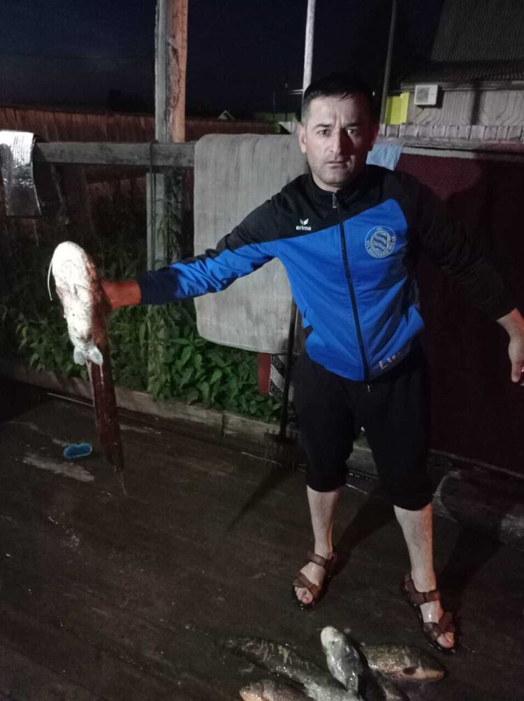 ���� 36158189 ������� FirdavsXXX, 30 ���, ���� ���������� � ��������