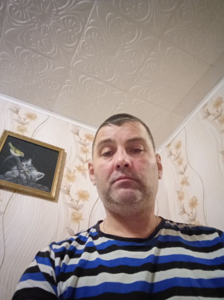  47978479  , 43 ,    