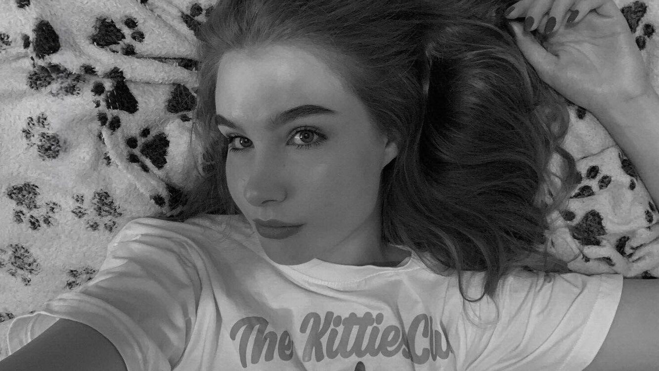  53330319  , 23 ,    -