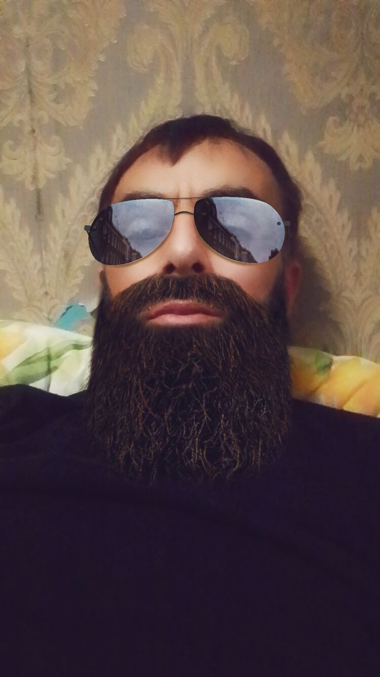  50195679  , 43 ,    