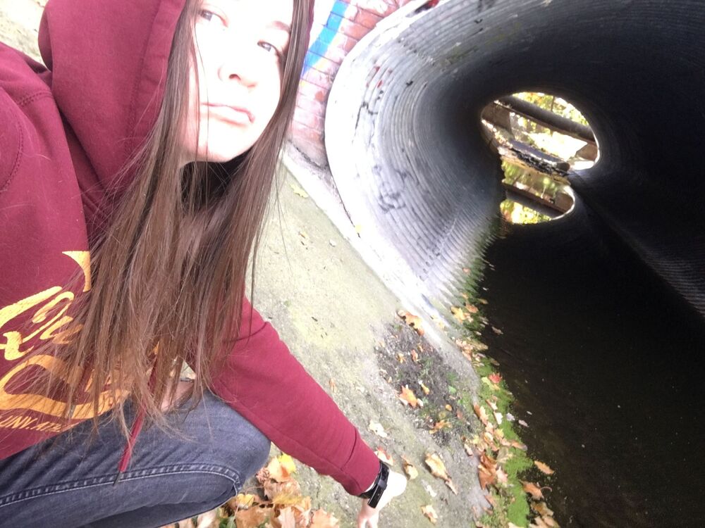 ���� 25693119 ������� �������, 33 ����, ���� ���������� � ������������