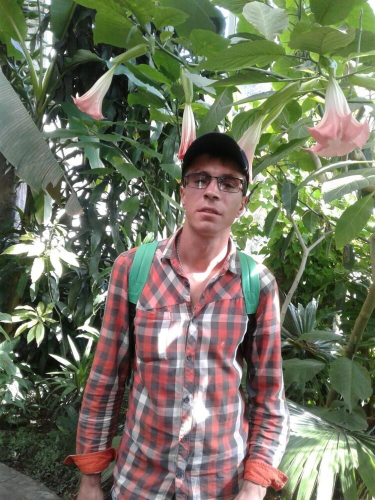 ���� 15420329 ������� ������, 38 ���, ���� ���������� � �����