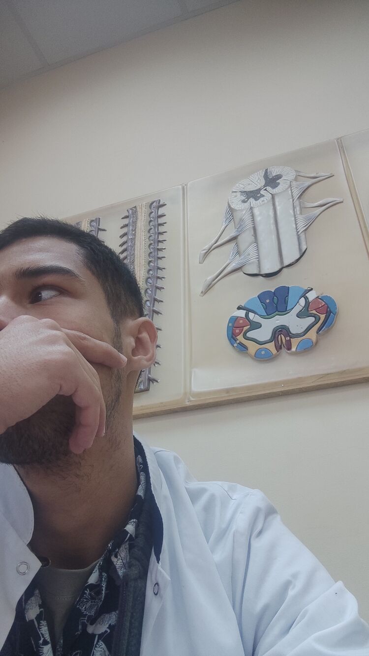  44563609  ABUU, 24 ,    
