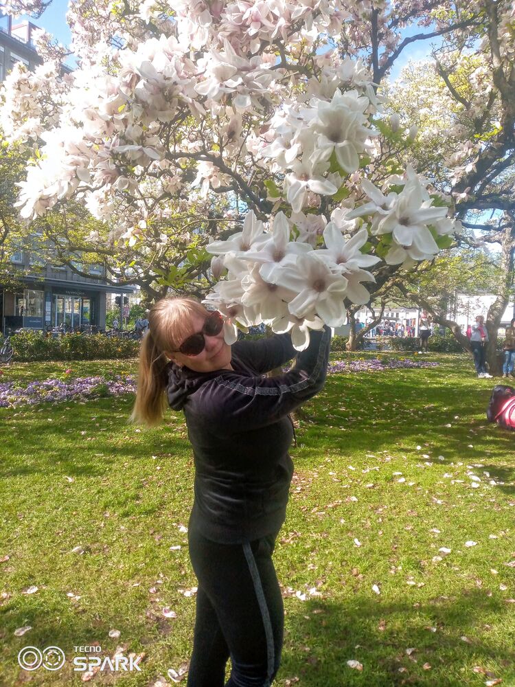 ���� 43112379 ������� ��������, 38 ���, ���� ���������� � Schweinfurt