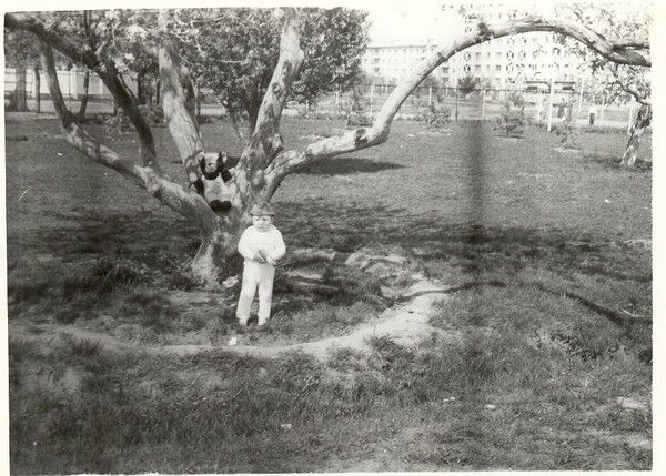 ���� 5432769 ������� ������, 44 ����, ���� ���������� � ������