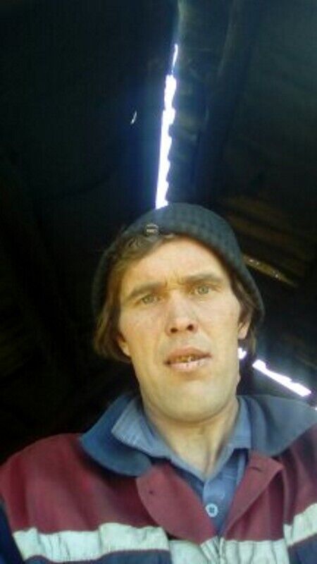 ���� 23390659 ������� ������, 36 ���, ���� ���������� � ���