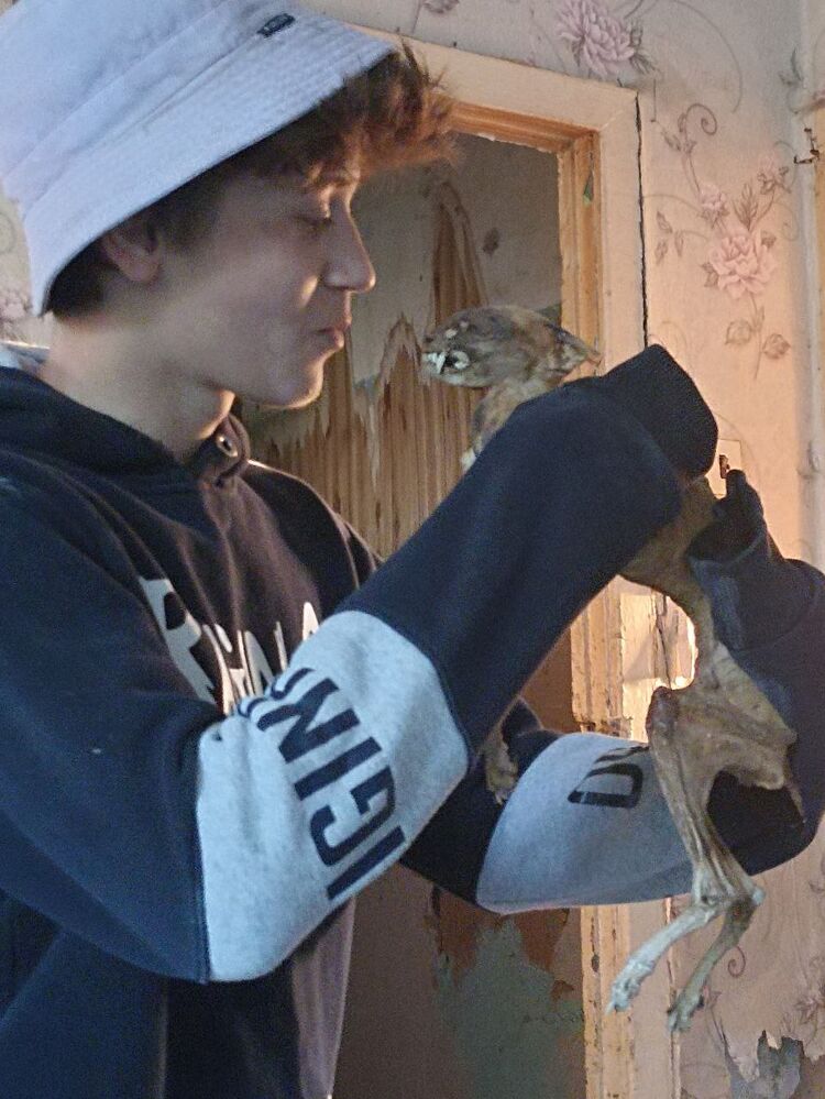 ���������� ������, ���� ����� �����, 21 ���, ������������ ��� ����� � ���������