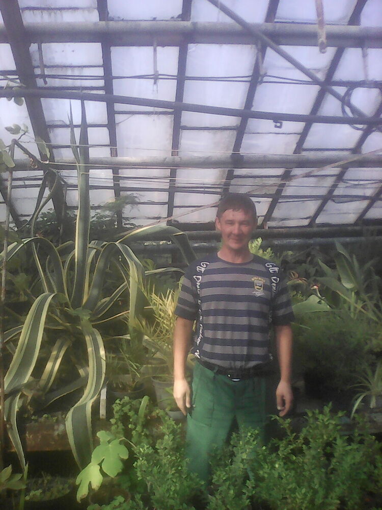 ���������� ���������� �����, ���� ������� ���, 49 ���, ������������ ��� ������, ����� � ���������, c�������� ���������