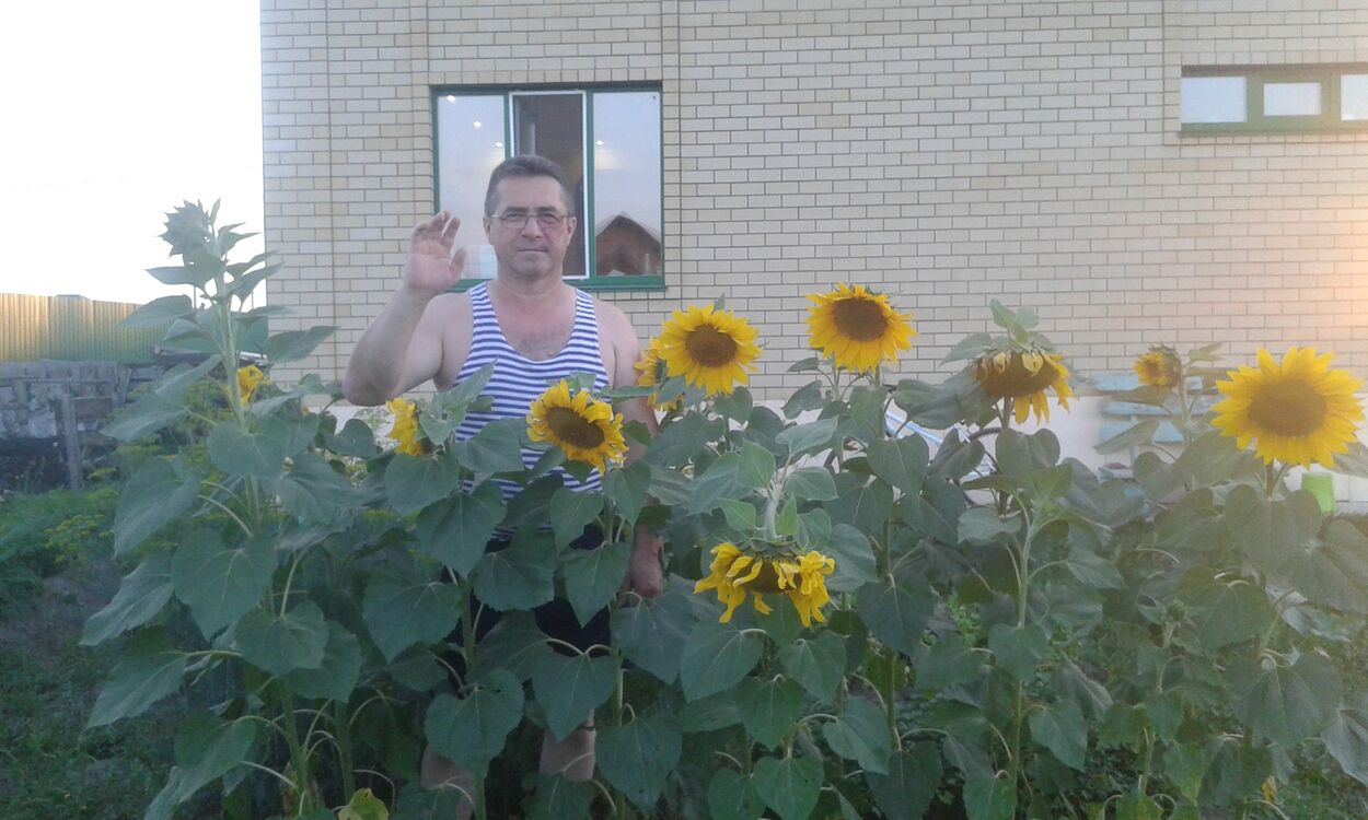 ���� 56181009 ������� ����, 55 ���, ���� ���������� � ������