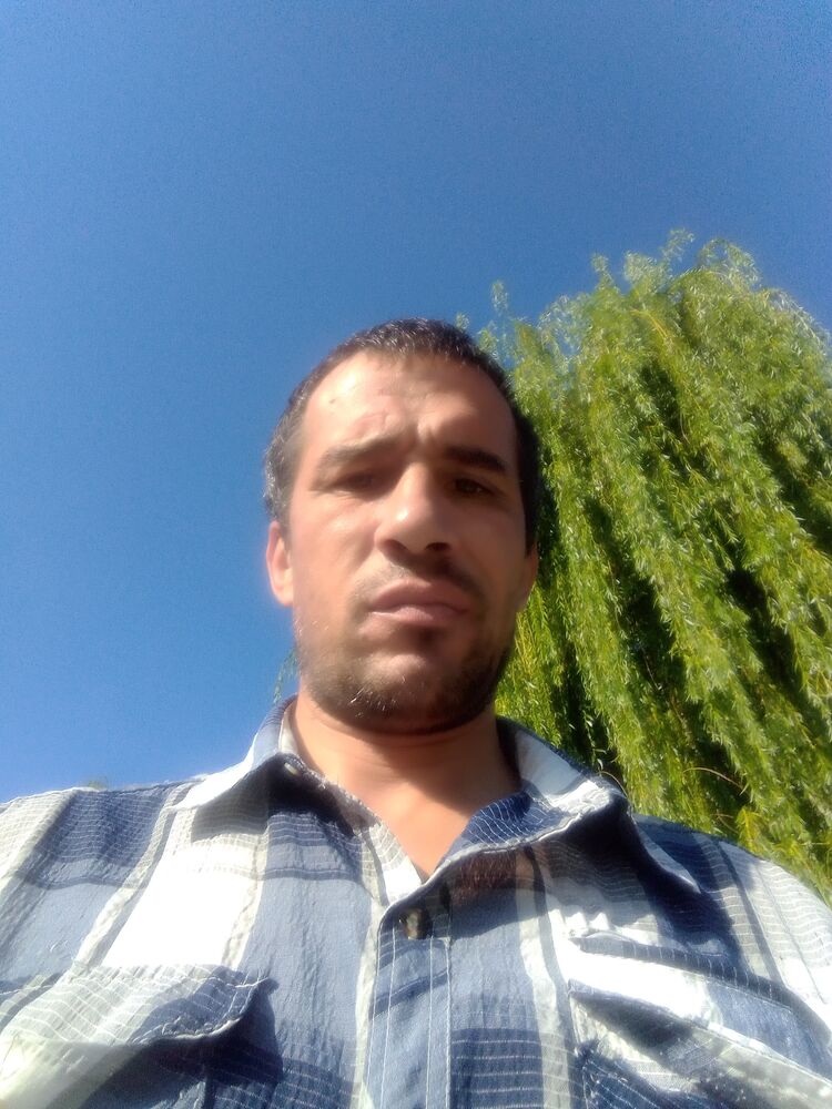  23729069  , 44 ,    