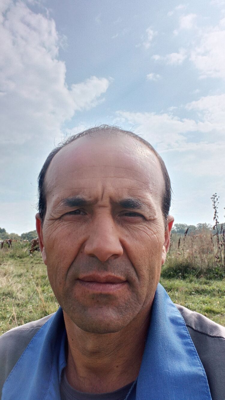  ,   , 46 ,   ,   