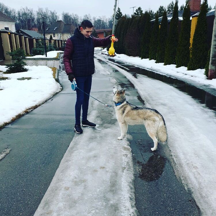 ���������� ������, ���� ������� �������, 28 ���, ������������ ��� ����� � ���������, c�������� ���������