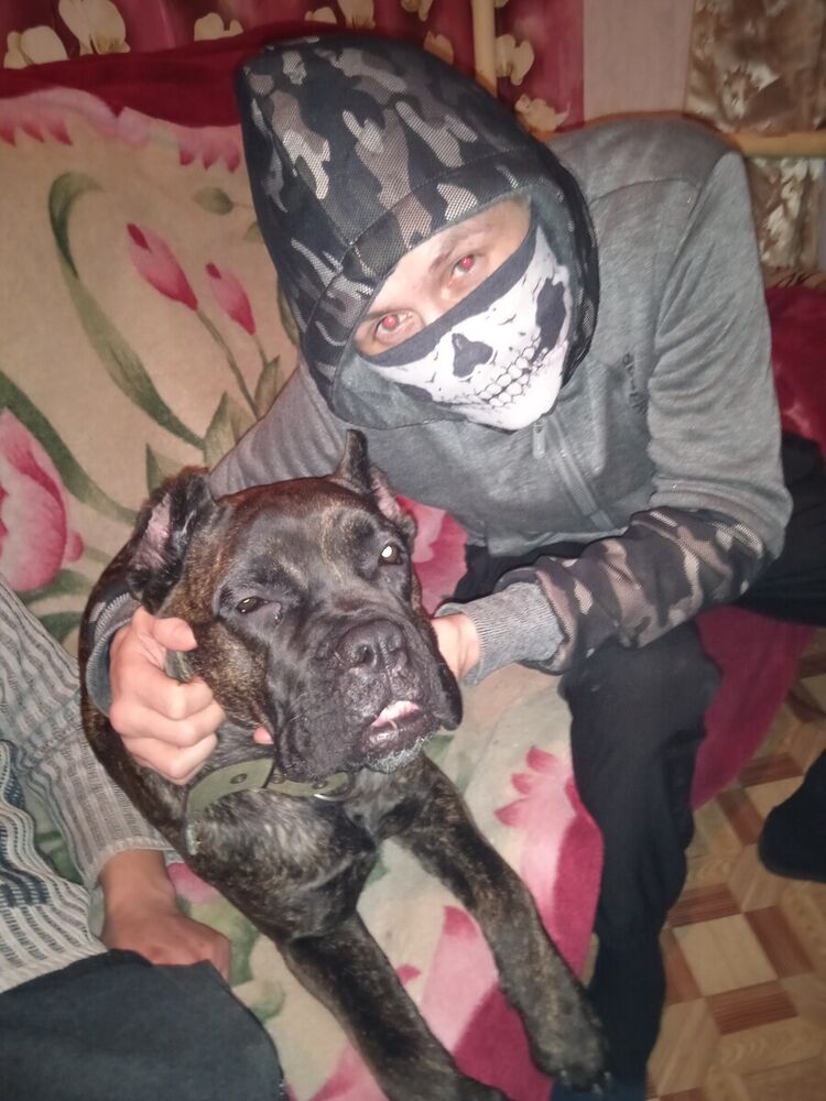 ���� 22144019 ������� ����, 32 ����, ���� ���������� � ������