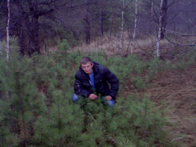 ���� 7979929 ������� ����, 32 ����, ���� ���������� � ��������-���������