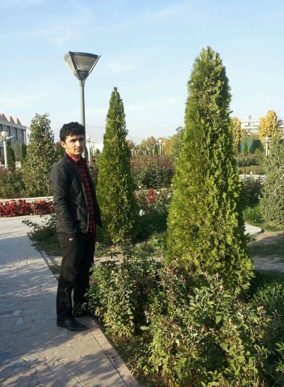 ���������� �������, ���� ������� ������, 33 ����, ������������ ��� ������, ����� � ���������, c�������� ���������, ���������