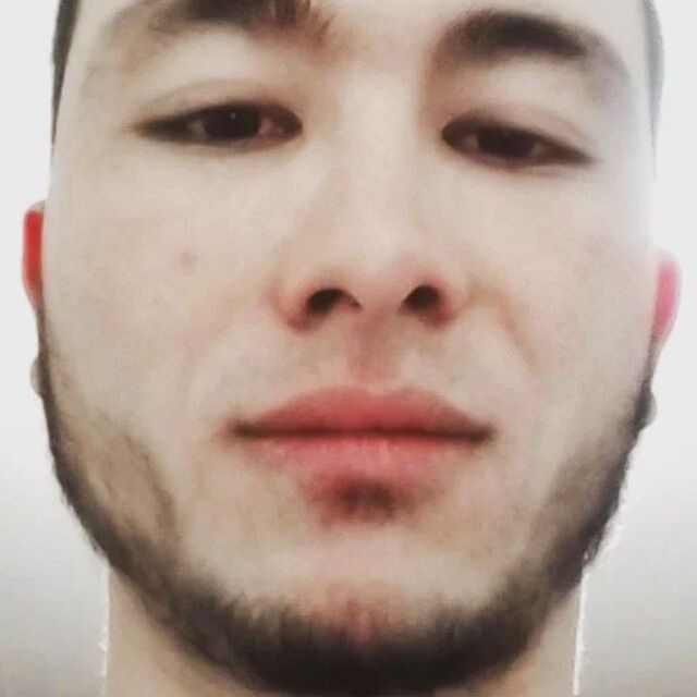 ���� 42683269 ����� ������, 24 ����, ���� ���������� � ���������