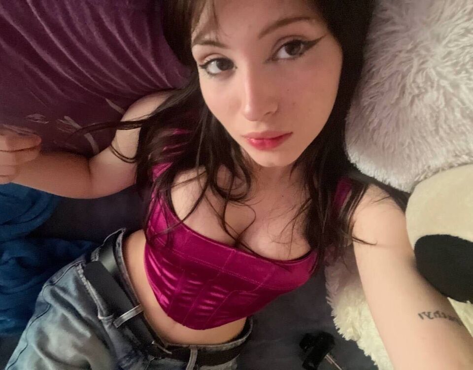 50442419  , 24 ,    