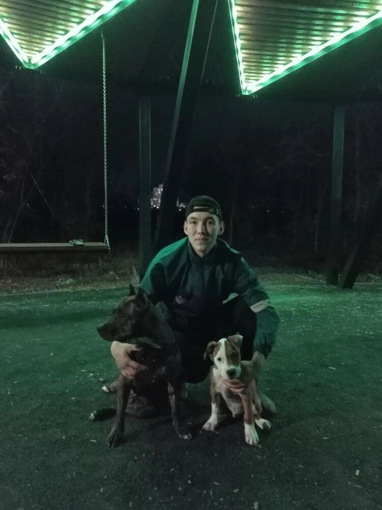 ���� 55012369 ����� �������, 25 ���, ���� ���������� � ���������