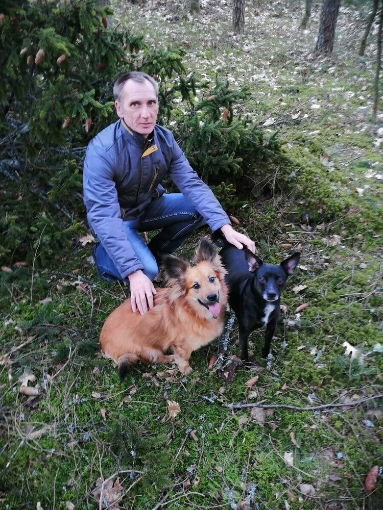  ,   , 48 ,   ,   