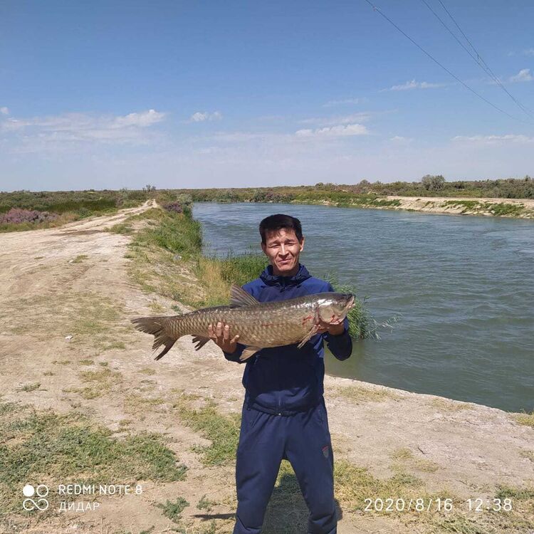 ���� 21319459 ������� ����, 46 ���, ���� ���������� � ������