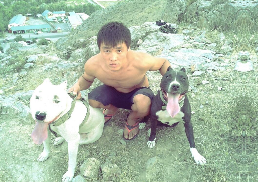 ���������� ������, ���� ������� Timow, 32 ����, ������������ ��� ������