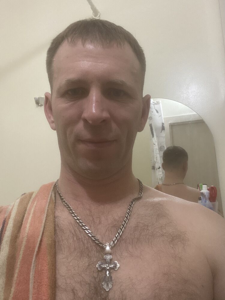  31284679  , 43 ,    