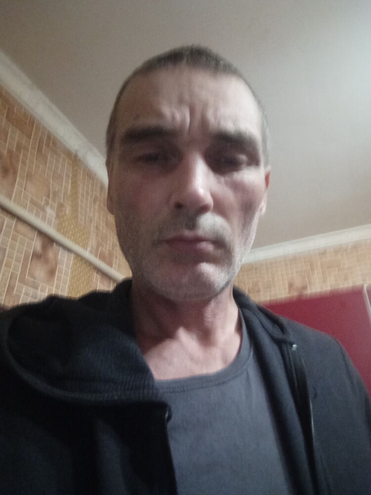  29533899  , 53 ,    