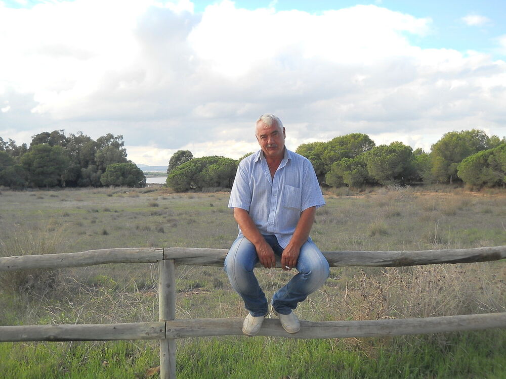  Alacant,   , 62 ,  