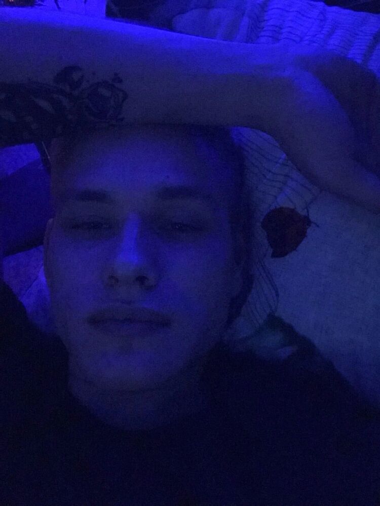 ���� 32403759 ����� ������, 25 ���, ���� ���������� � �����������