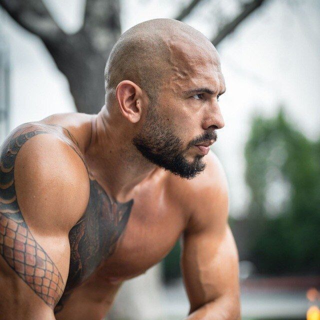 ���� 42054369 ����� ������������, 20 ���, ���� ���������� � ������