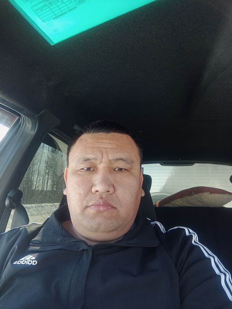  33824039  , 38 ,    