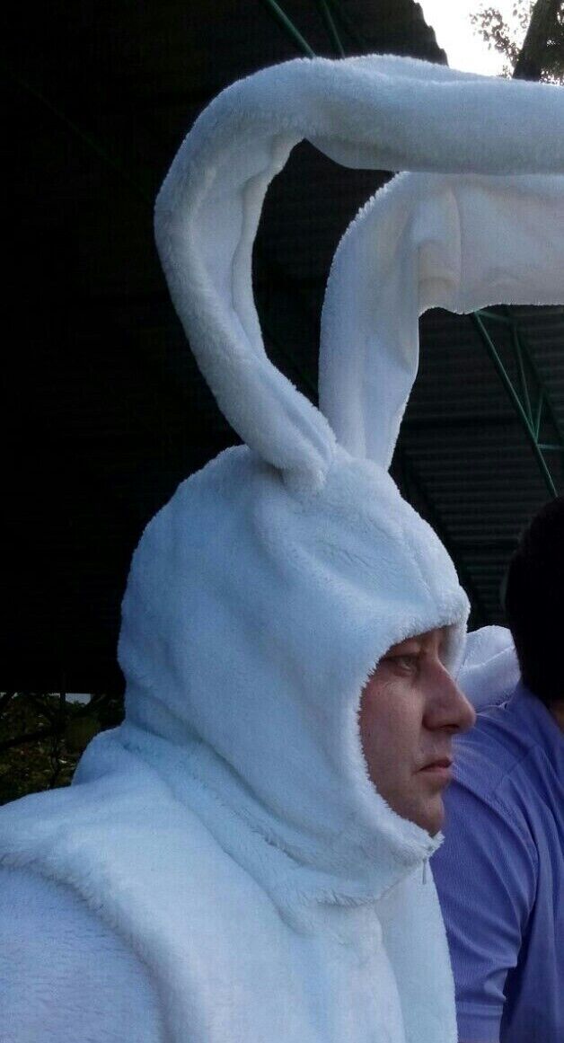 ���������� ���������, ���� ������� ������, 47 ���, ������������ ��� ������, ����� � ���������, c�������� ���������