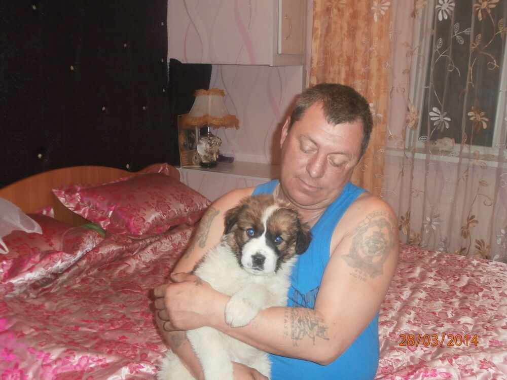  ,   , 58 ,   ,   , c , 