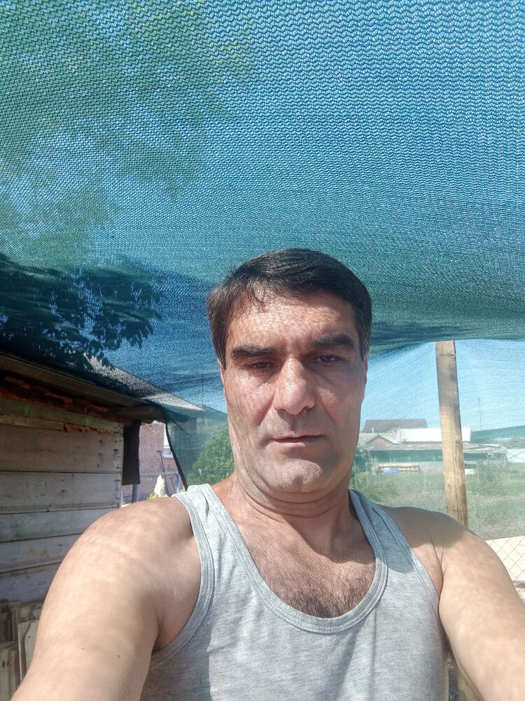  31953709  , 50 ,    -