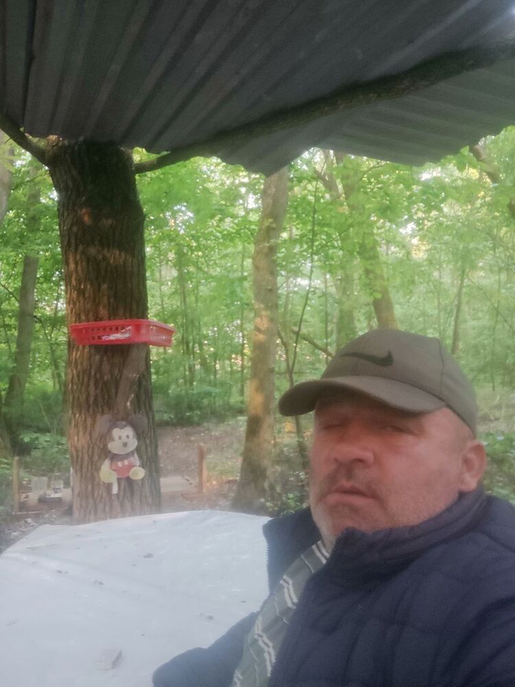 ,   , 53 ,   ,   