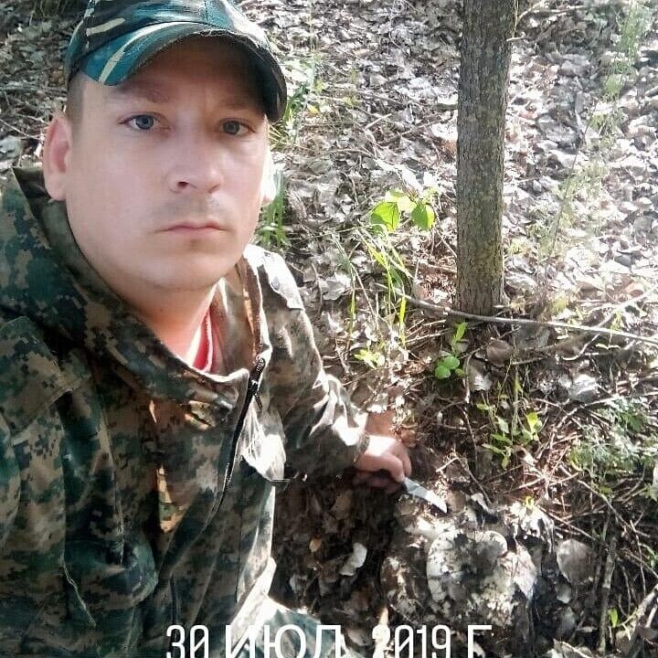  22498669  , 38 ,    