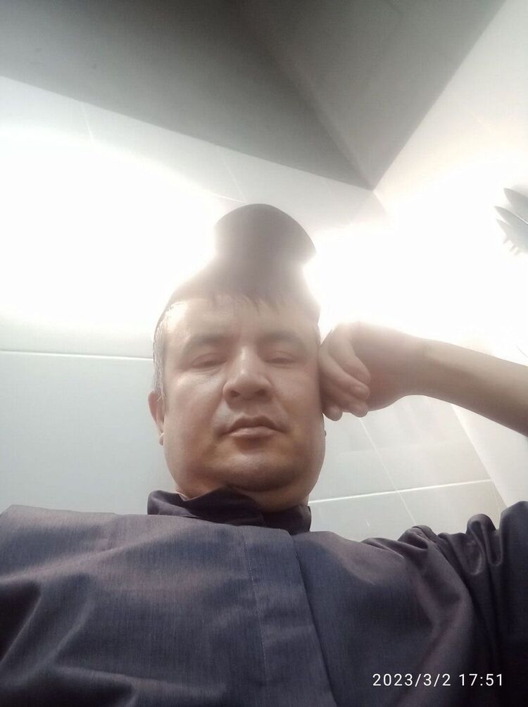  37698559  , 44 ,    -