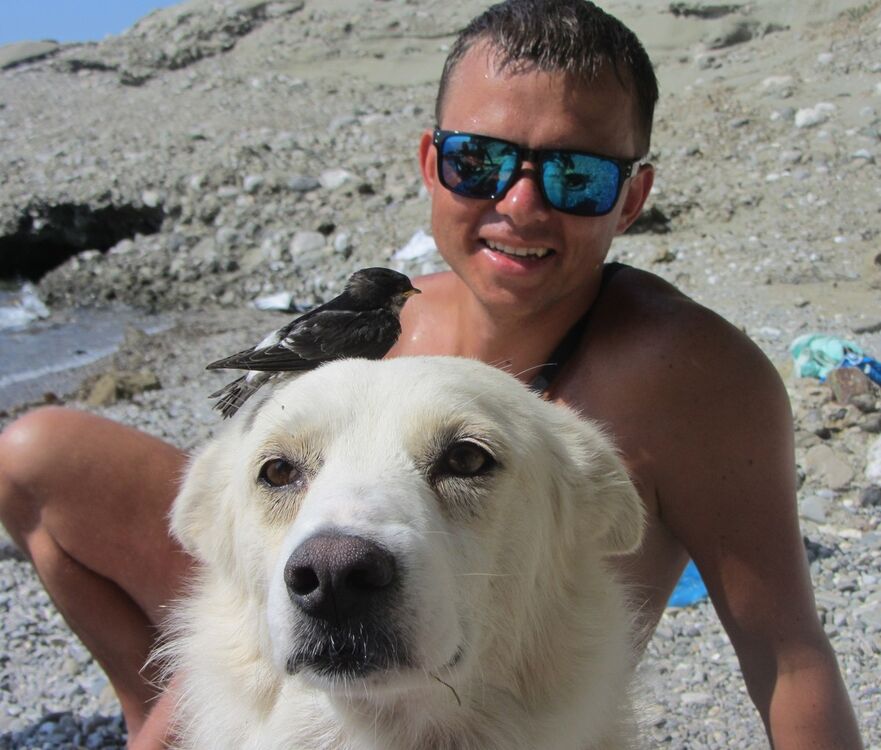 ���������� ������ �����, ���� ������� �����, 42 ����, ������������ ��� ������, ����� � ���������, c�������� ���������