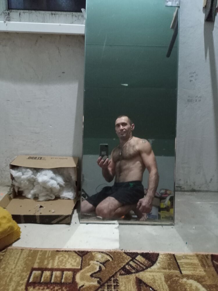  29445509  , 48 ,    