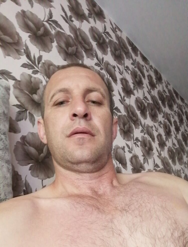  23496309  , 44 ,    