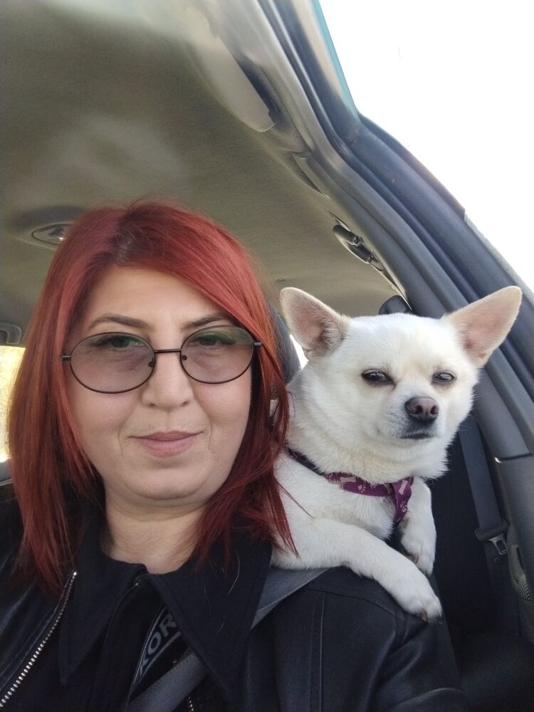  ,   , 50 ,     , c , 