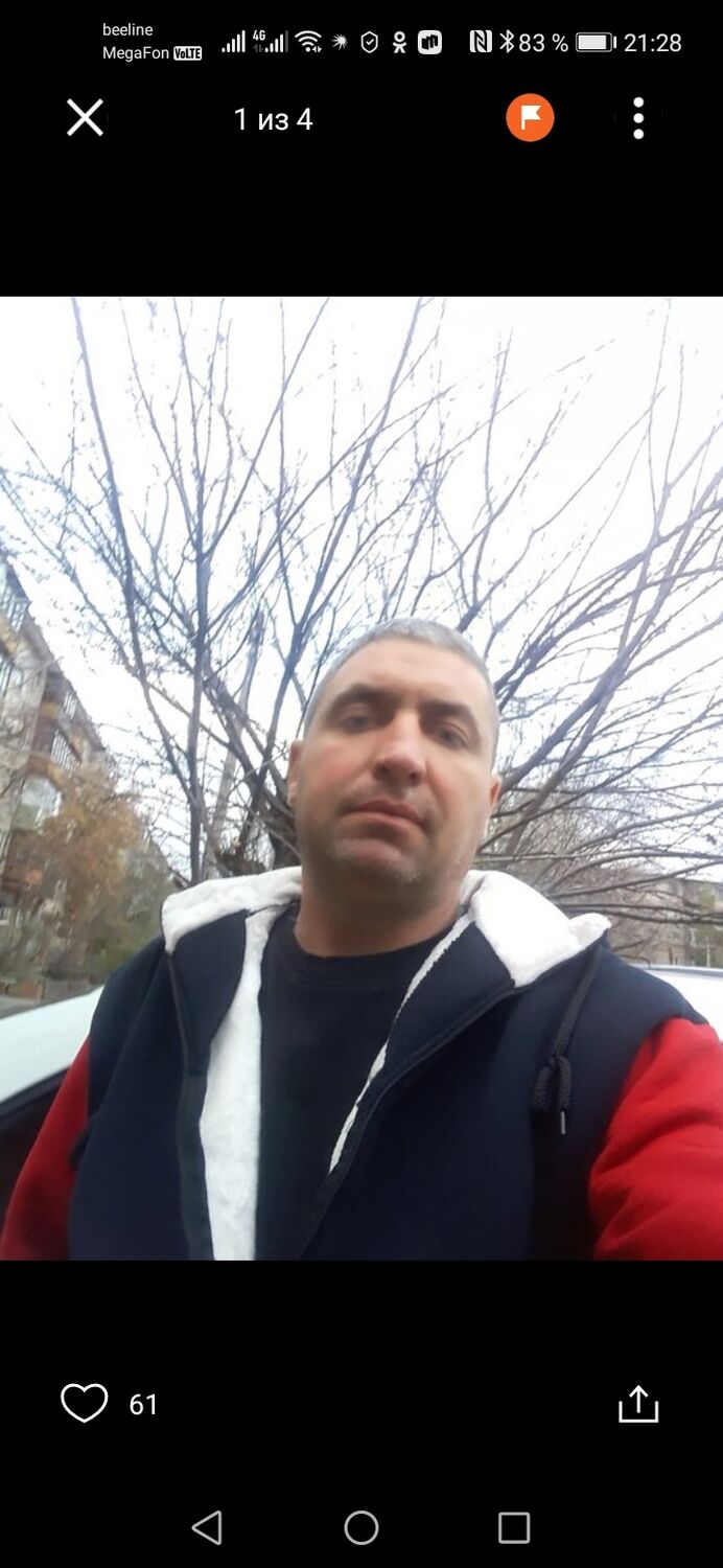  48169889  , 44 ,    