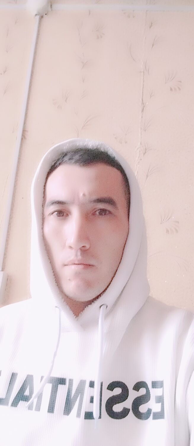  43036629  , 31 ,     